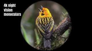 Высококачественный монокуляр ночного видения 4K