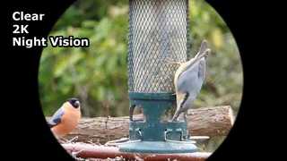 Очки ночного видения Capture Clear Video 2K