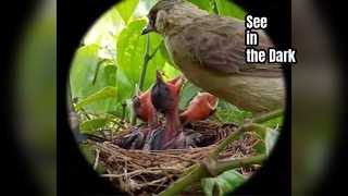 Очки ночного видения Hondigi для наблюдения